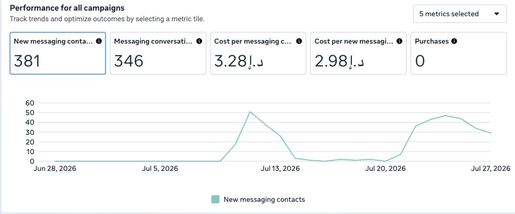 Meta Ads Manager campaign results